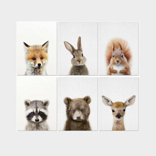 Tierbilder Kinderzimmer, Poster Tierbilder, Babyzimmer, Tierposter für das Kinderzimmer, lustige Tierbilder