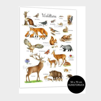Tiere des Walds, Poster für Kinderzimmer mit Fuchs, Eichhörnchen und mehr