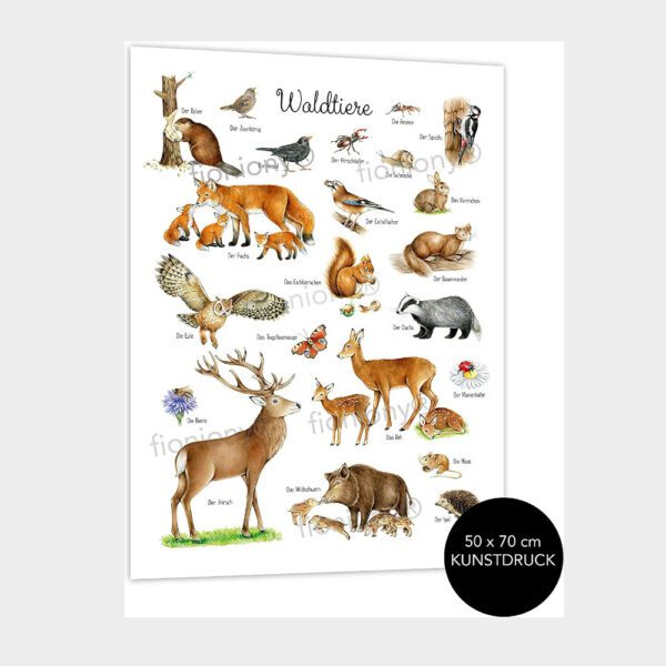 Tiere des Walds, Poster für Kinderzimmer mit Fuchs, Eichhörnchen und mehr